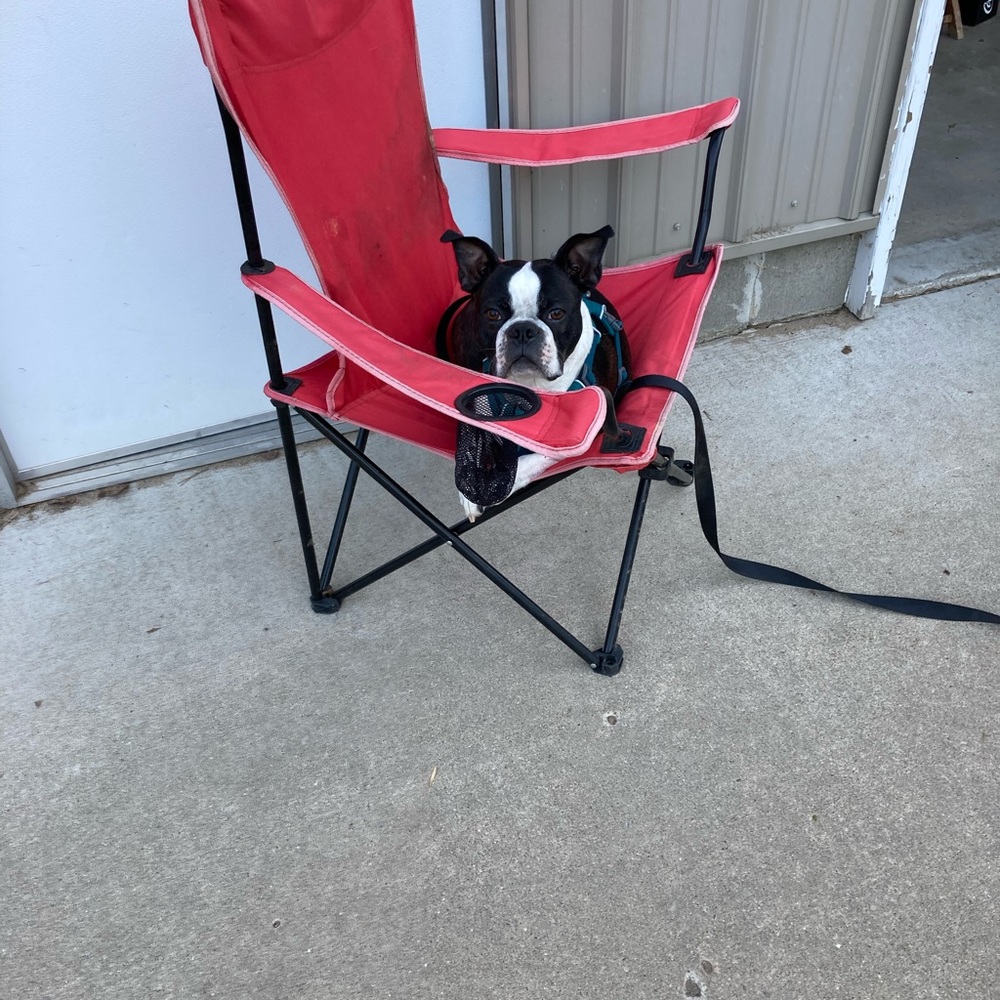 Jamie here - Picture 4 of 8